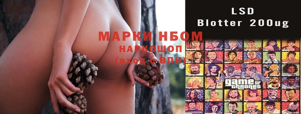 прущая мука Арсеньев