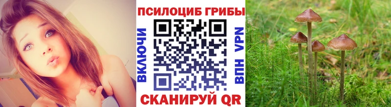 Галлюциногенные грибы Cubensis продажа наркотиков Свирск